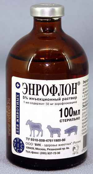 плоский живот за месяц